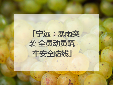 宁远：暴雨突袭 全员动员筑牢安全防线